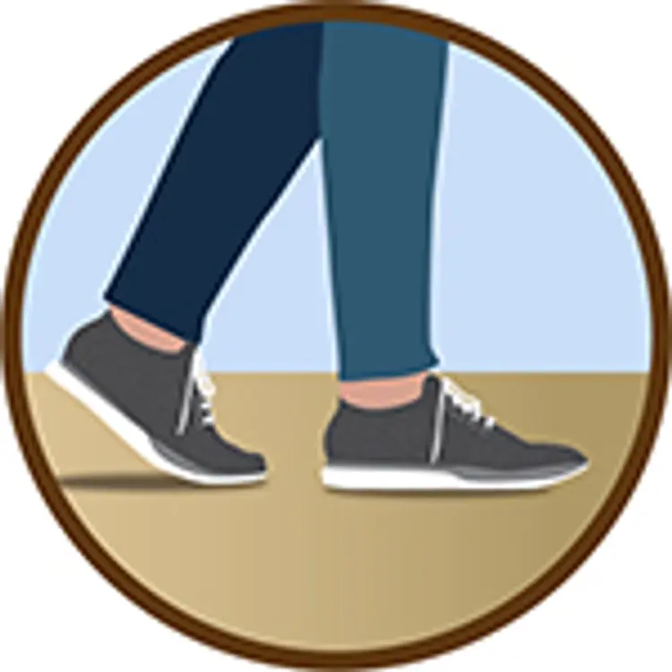 photo of Journeys MS infographics