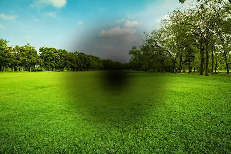 photo of Illustration of a blind spot