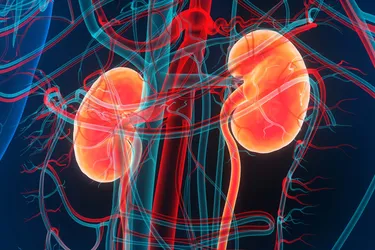 Uremia or uremic syndrome is a condition that happens when your kidneys can't filter wastes and fluid out of your bloodstream the way they should and you don't get dialysis to remove them either. As a result, toxins build up and can cause problems in your heart, brain, bones, and more. (Credits: iStock/Getty Images )
