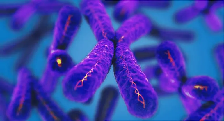 What Tiny Telomeres May Tell Us About Aging