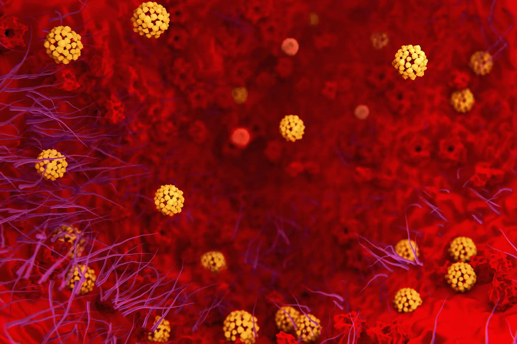 photo of coronavirus