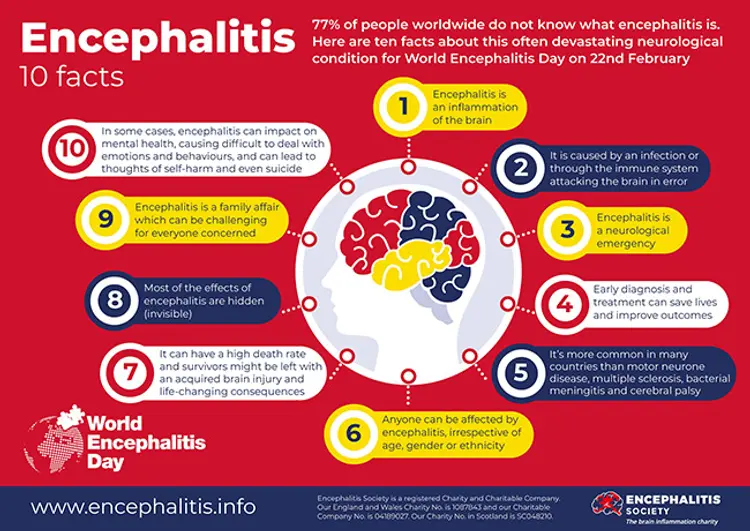 photo of Encephalitis: 10 Facts infographic