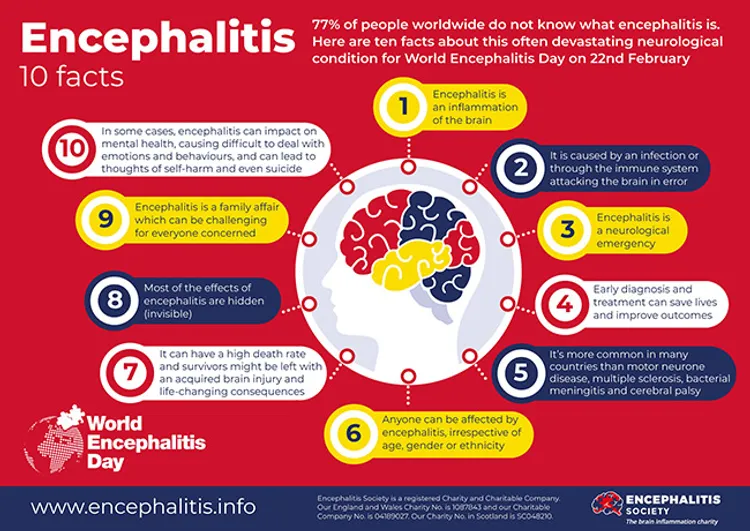 photo of Encephalitis: 10 Facts infographic