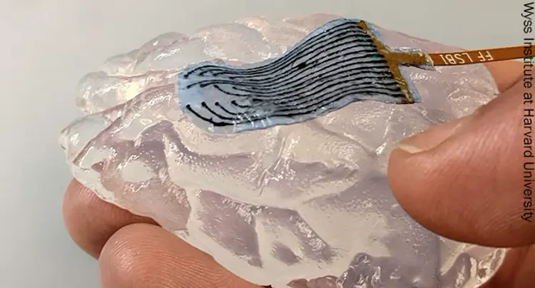 photo of hydrogel