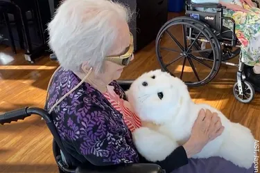 A woman at a skilled nursing facility in Seattle, WA, interacts with FDA-approved seal robot PARO. 