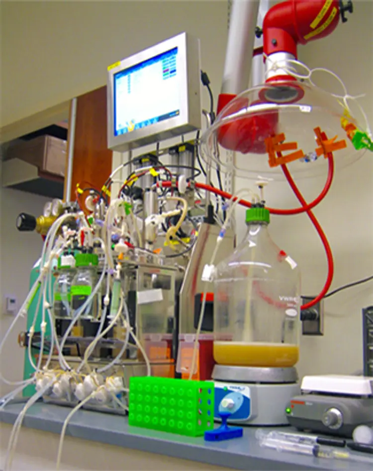 photo of artificial gut