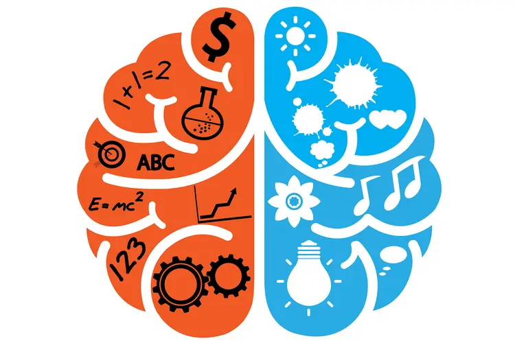 illustartion of left and right brain