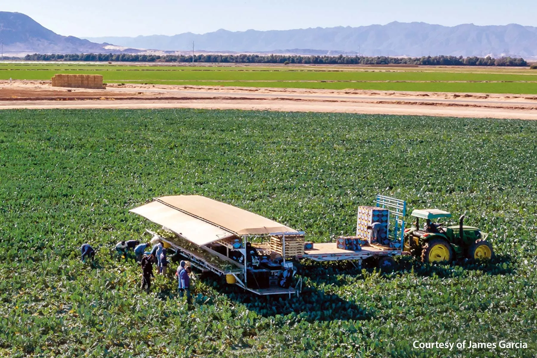 photo of imperial valley wellness foundation