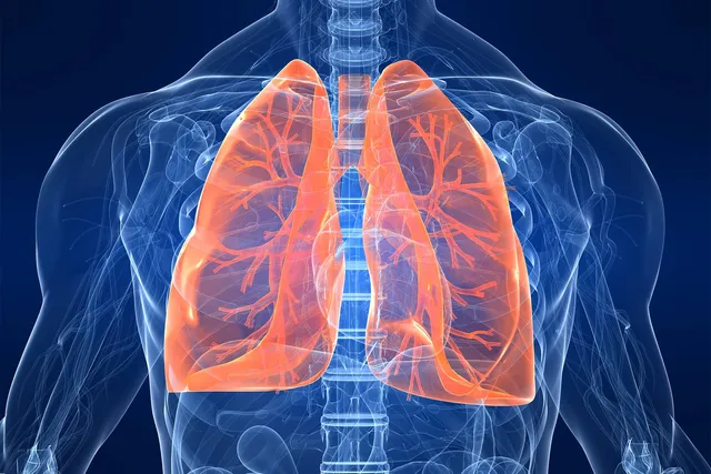What is EGFR-Positive Lung Cancer?