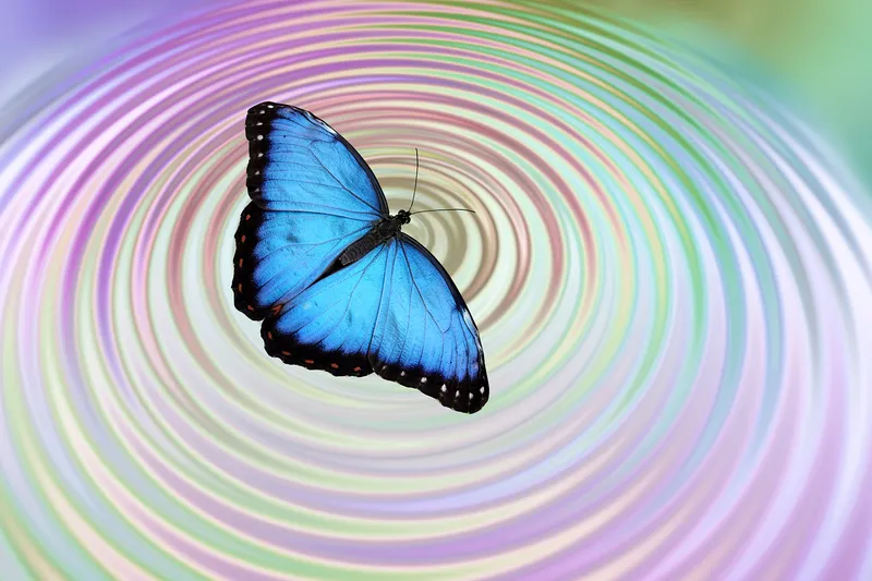 This Holiday Season, Let Your Smallest Actions Carry the Most Light