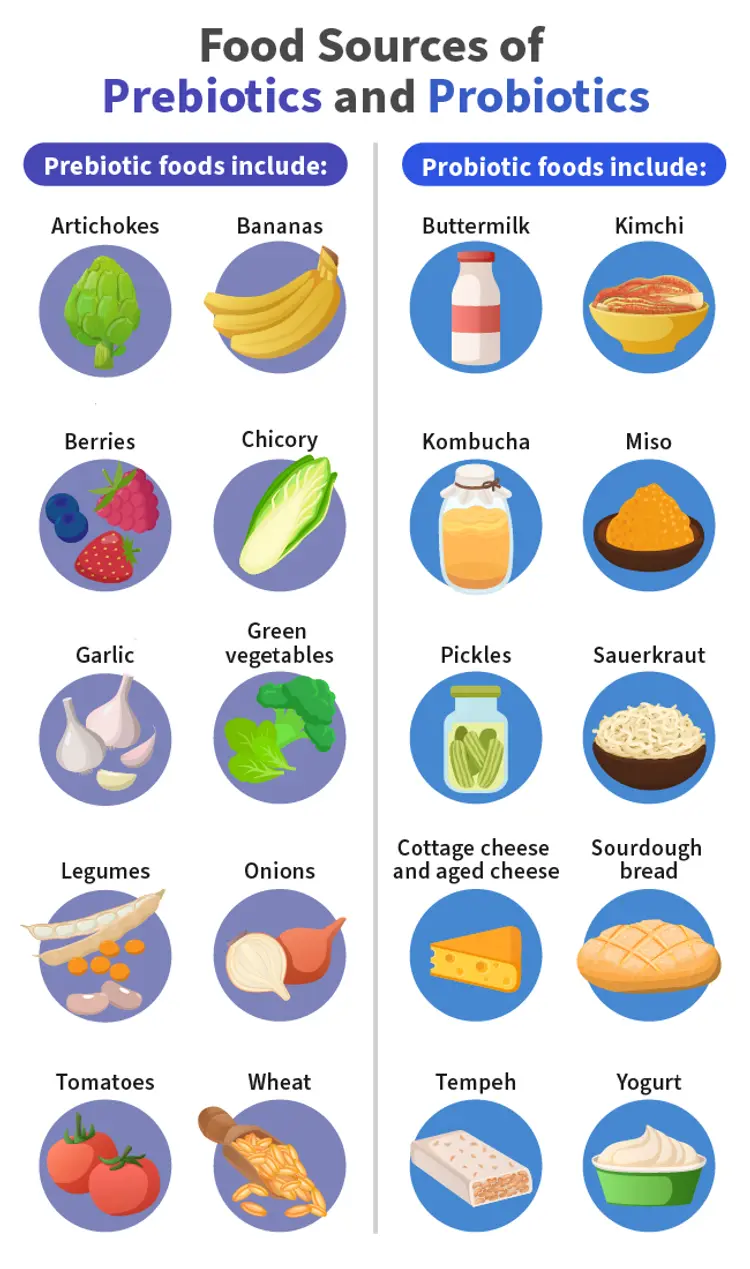 infographic on prebiotics and probiotics