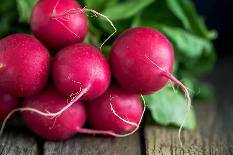 photo of fresh radishes