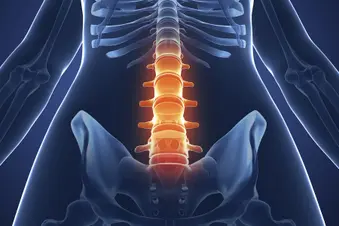 lower spine
