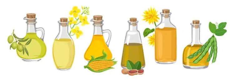 illustration of food oils