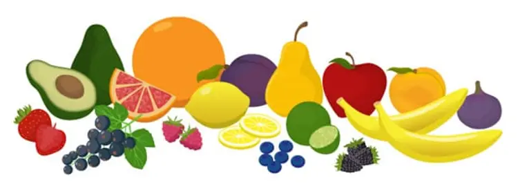 illustration of fruits