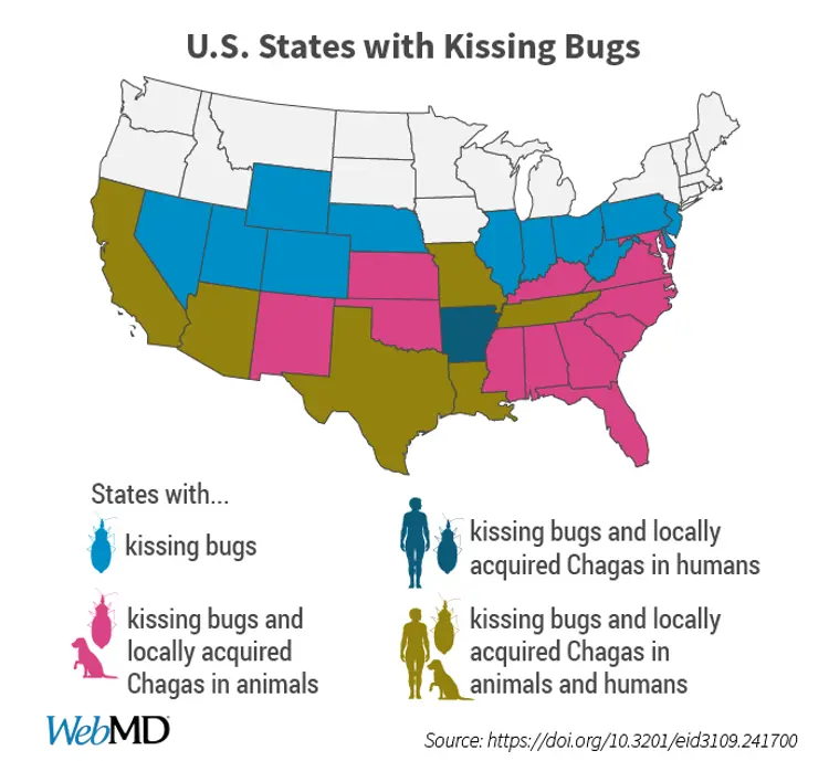 U.S. States with Kissing Bugs infographic