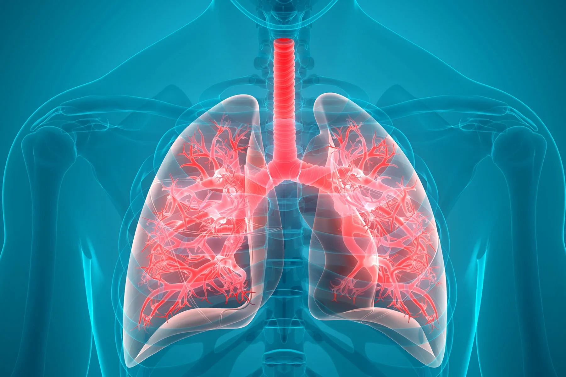 Mucus in Your Chest: See 8 Causes (and How to Remedy It)