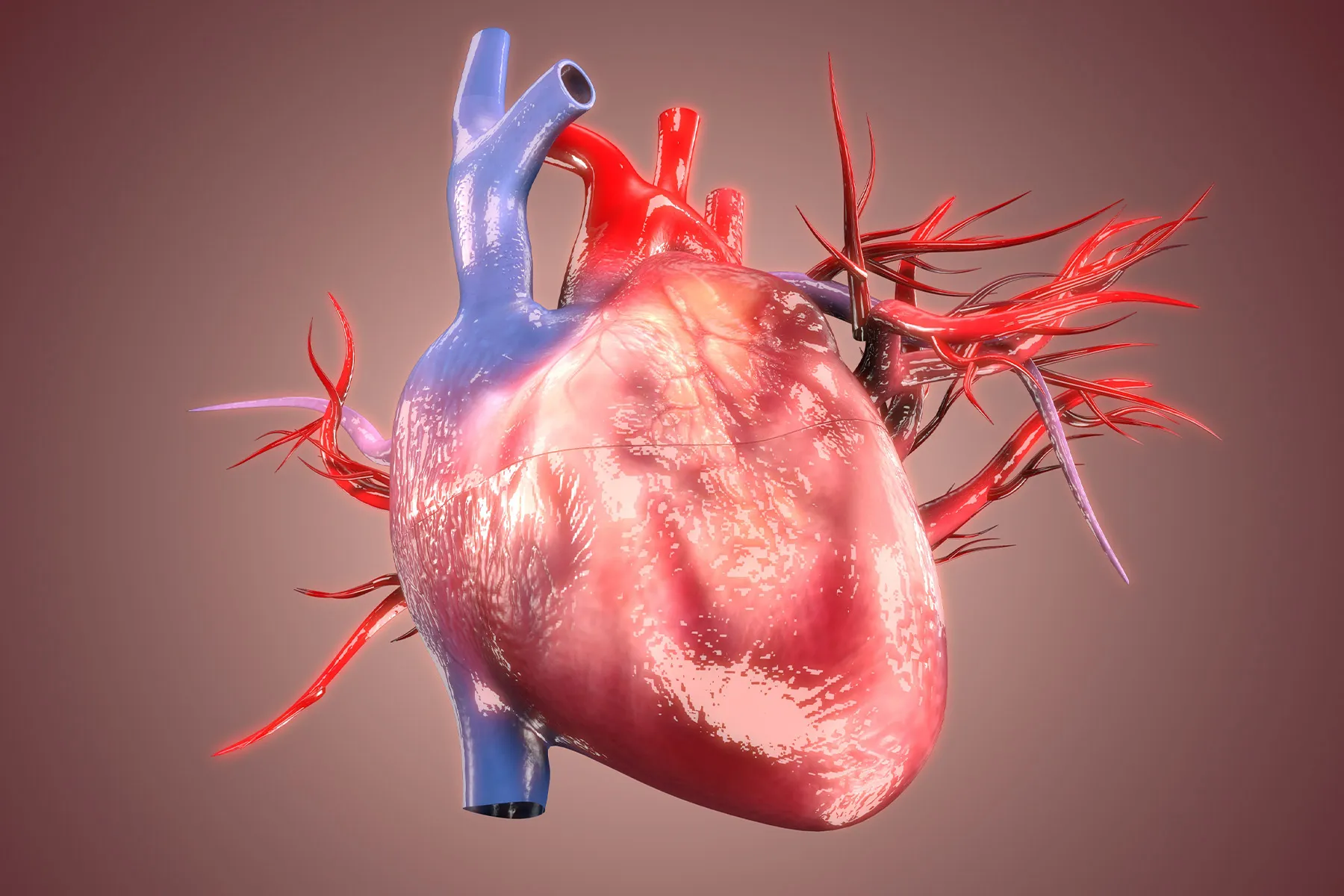 Caring for Your Heart With AS