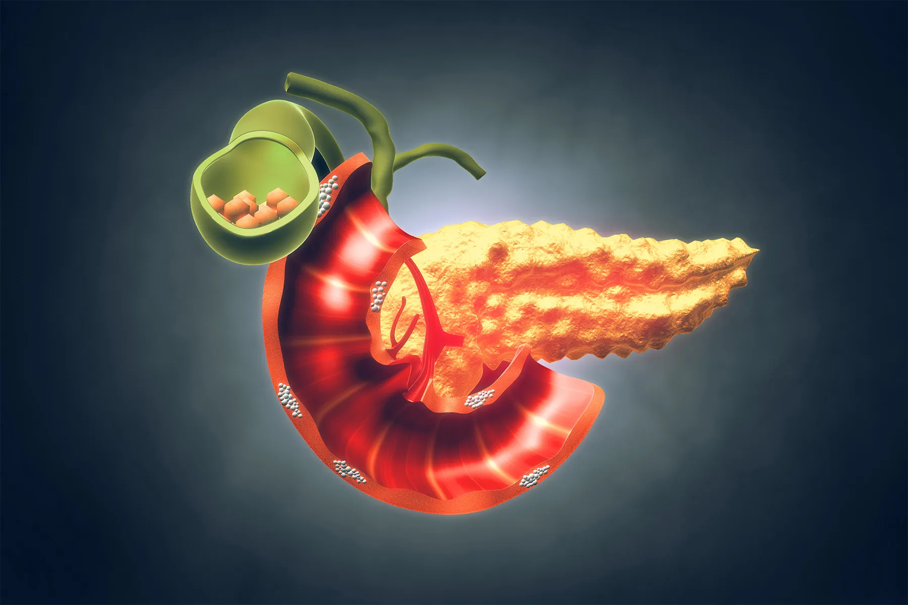 Your Pancreas and EPI