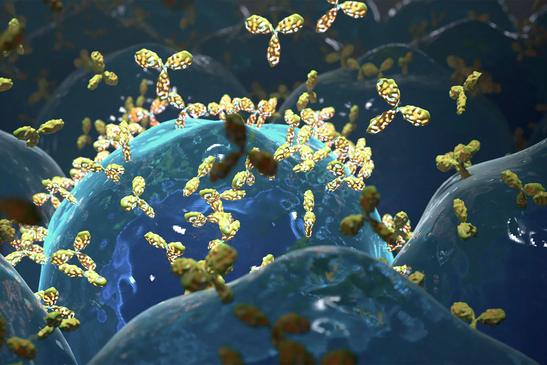 The Role of Immunoglobulin E
