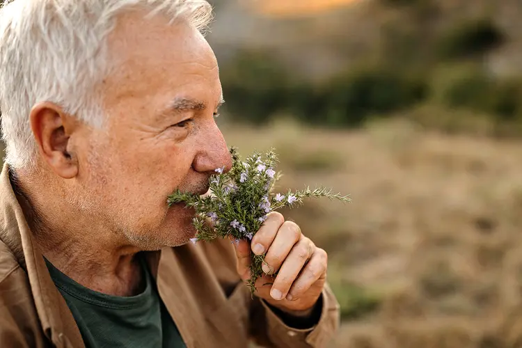 photo of senior man smelling herbs in nature, smell training, lung cancer smell changes