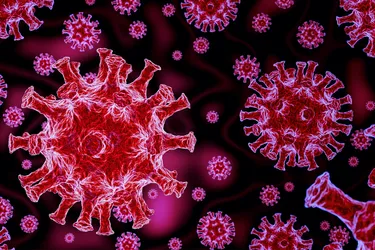 SARS-CoV-2, the virus that causes COVID-19, got its name based on its genetic structure. This is how all viruses are named. SARS-CoV-2 is genetically similar to the virus that led to the SARS outbreak in 2003. (Photo Credit: iStock/Getty Images)