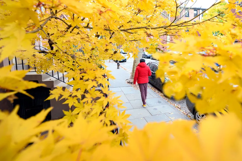 My Body Keeps Score: My Annual Case of the HIV Mean Reds