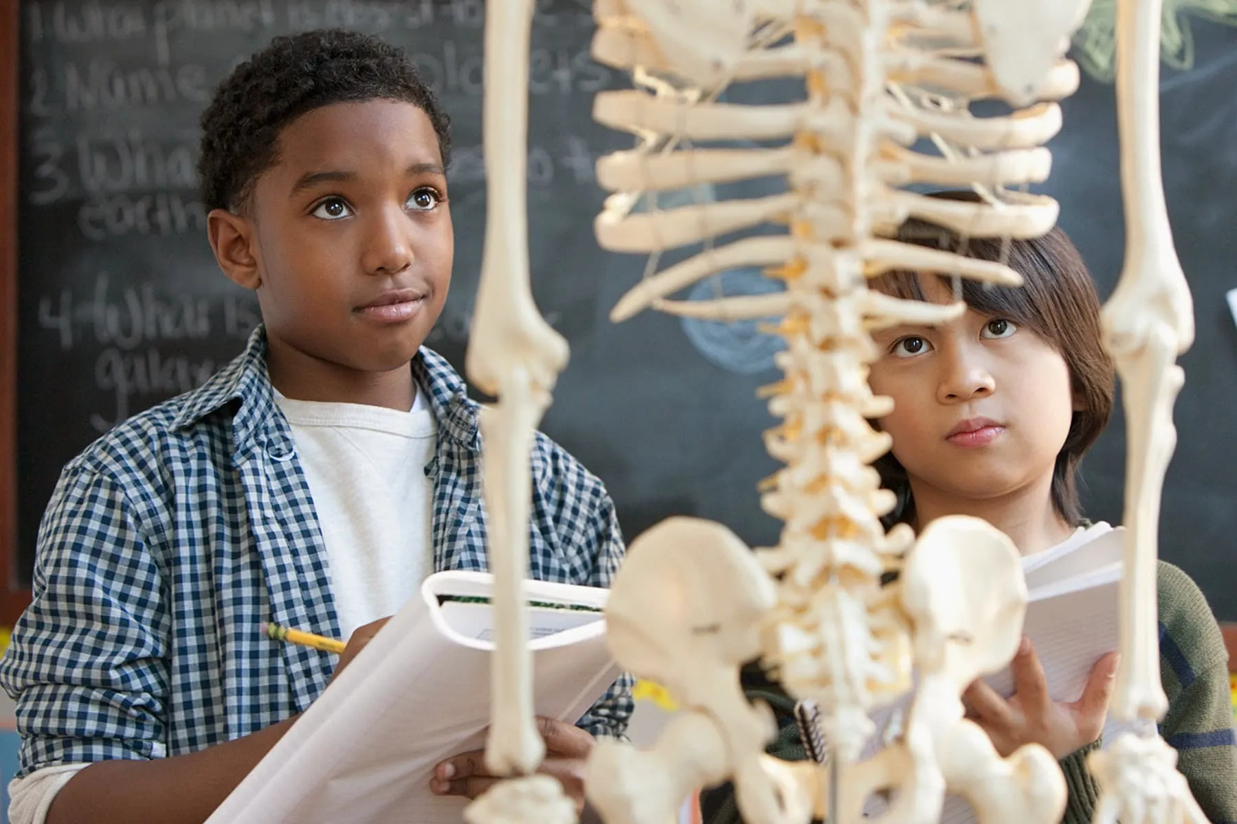 boys looking at skeletal model