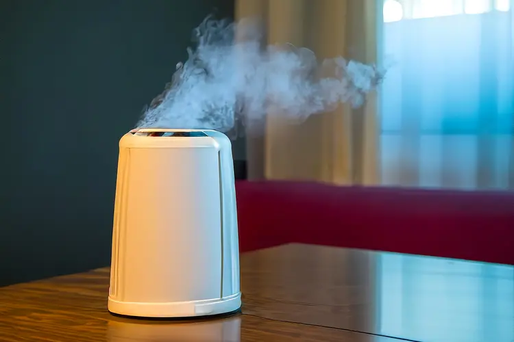 photo of room humidifier