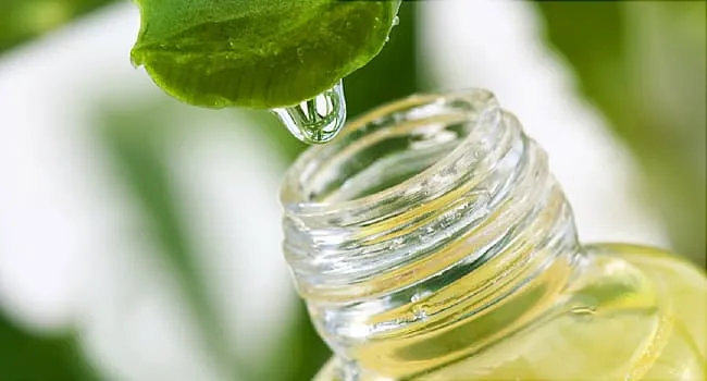 Alternatives to Treating Psoriasis: Sunlight, Shark Cartilage Extract,  Capsaicin Cream, Tea Tree Oil, Aloe, and More