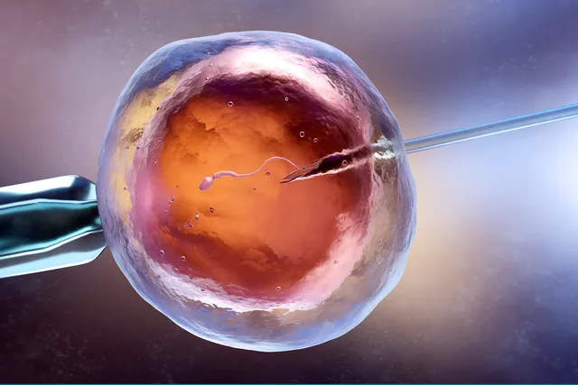 What Is In Vitro Fertilization?