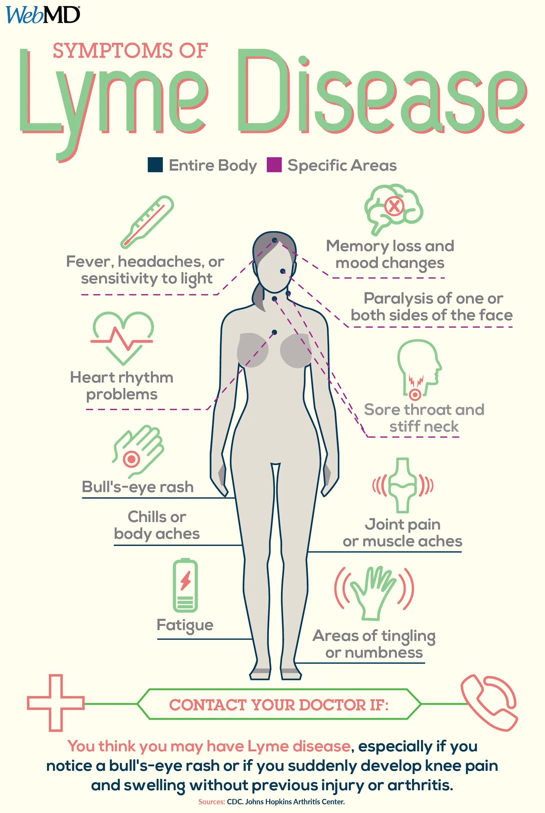 lyme disease important facts to know infographic