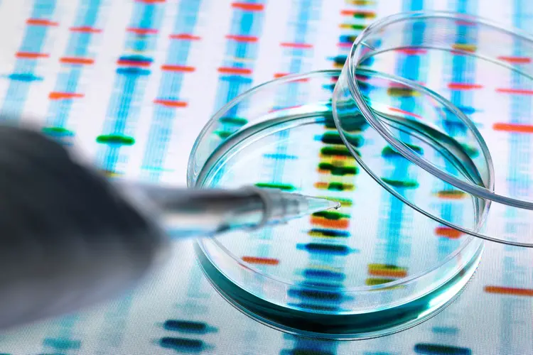 photo of genetic testing