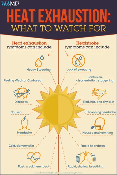 heat-related illness infographic