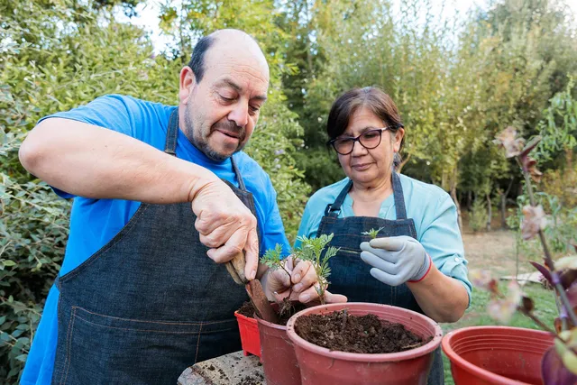 Finding Stability with COPD