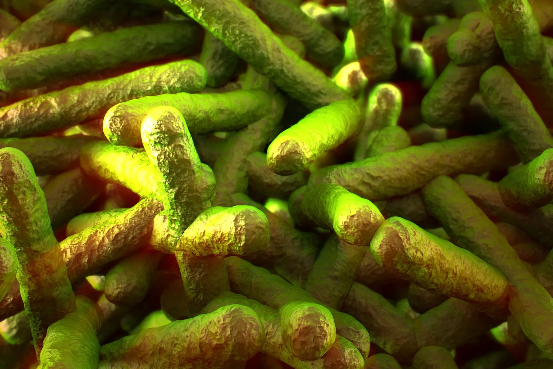 Deadly Listeria Outbreak Linked to Sliced Deli Meats