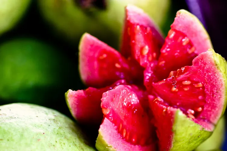 photo of red guava fruit