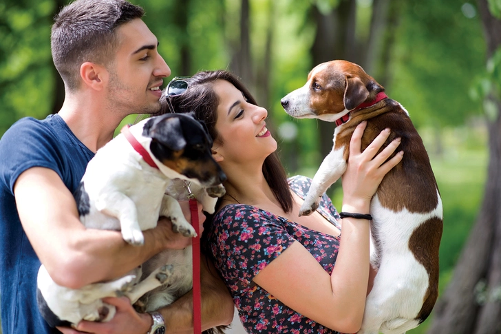 How to Pick a Healthy Purebred Pup How to Pick a Healthy Purebred Pup