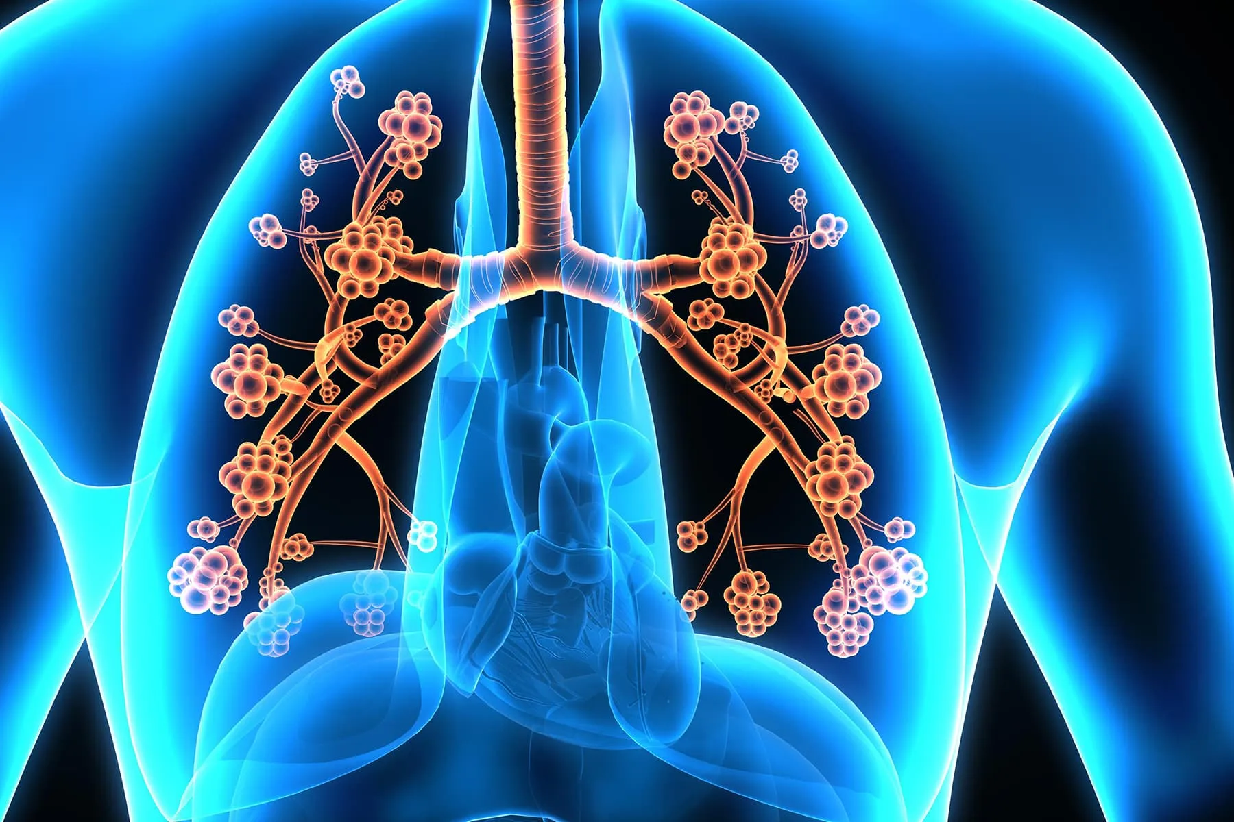 Lung Health Alert: What Negative Bronchophony Says About Your Lungs - bf6ioyq