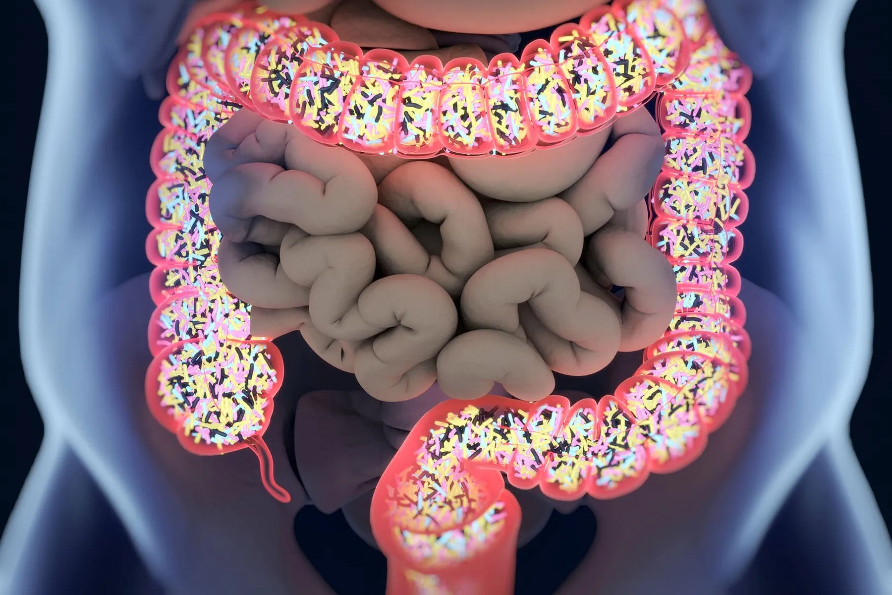 Wie Ihr Mikrobiom Ihre Gesundheit beeinflusst