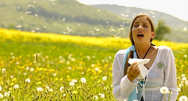 Common Allergy Triggers
