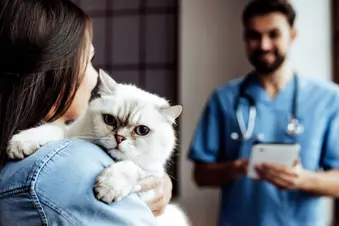 photo of cat and veterinarian,