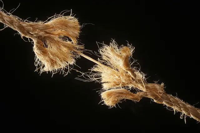 Heart-Pounding, Stomach-Knotting: Stress and You
