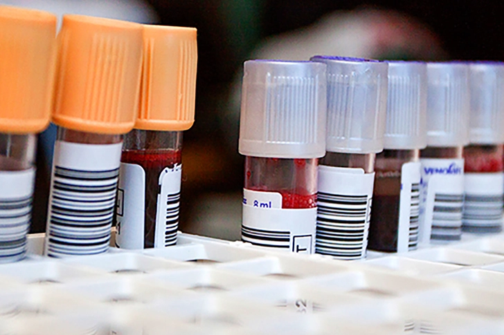 Take Your Blood Take Your Blood