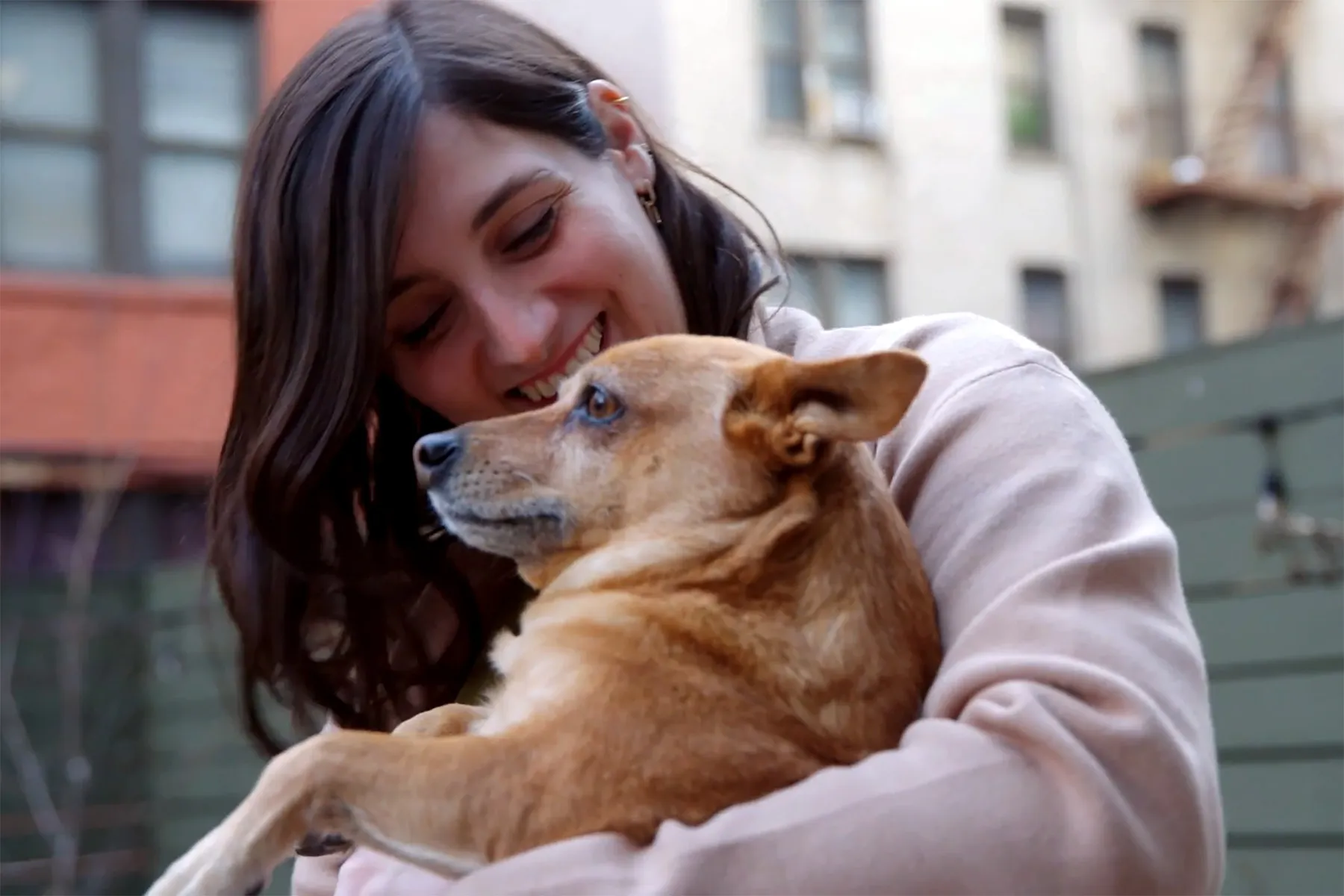 Becoming Comfortable With Therapy