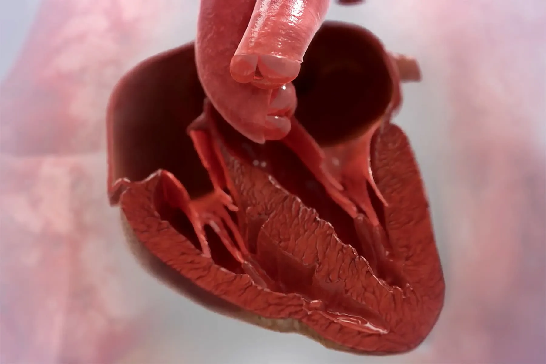 A Weakened Heart