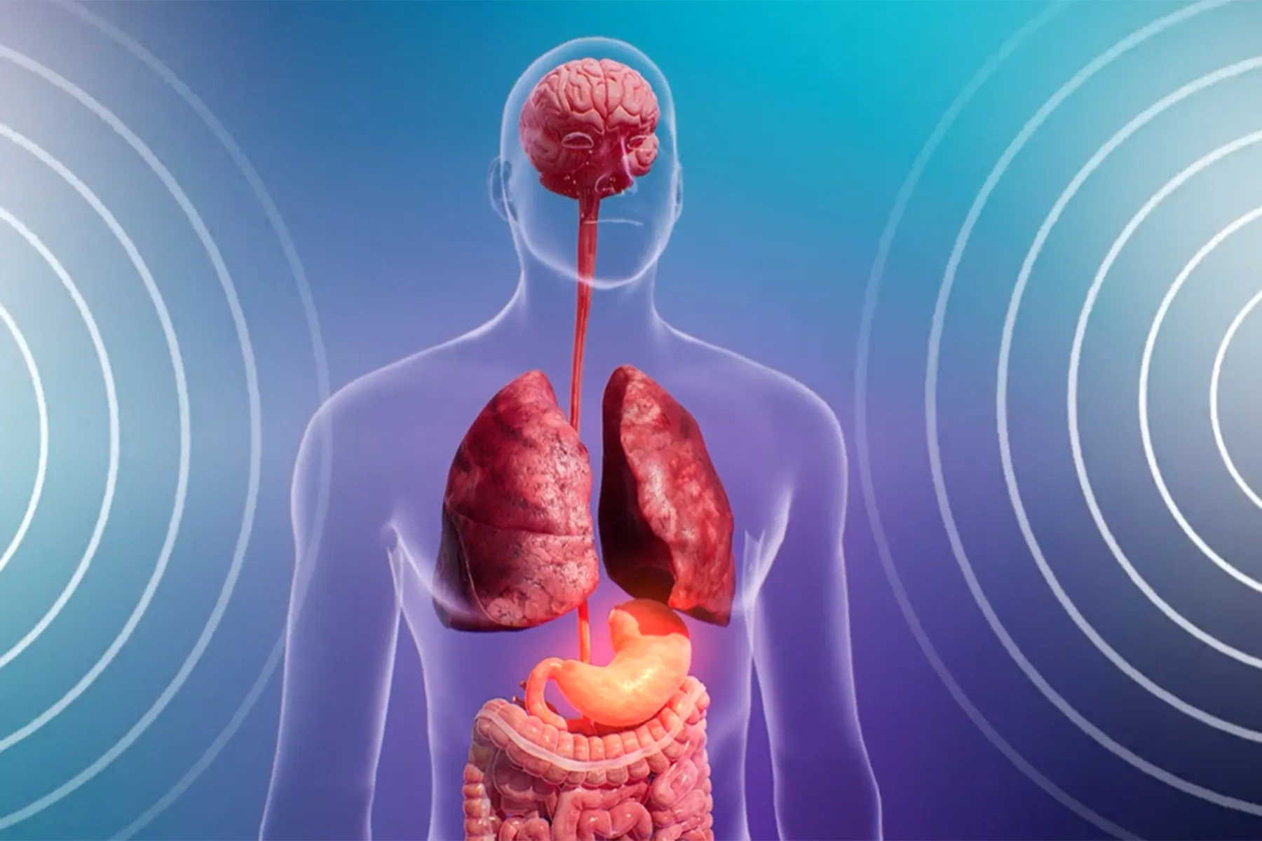What Happens in the Body During a Migraine?