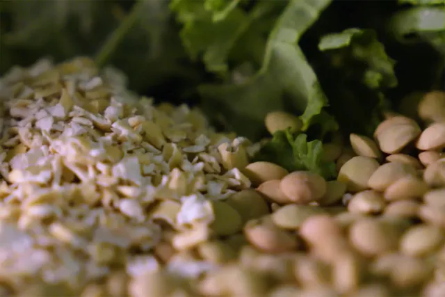 Food Is Medicine