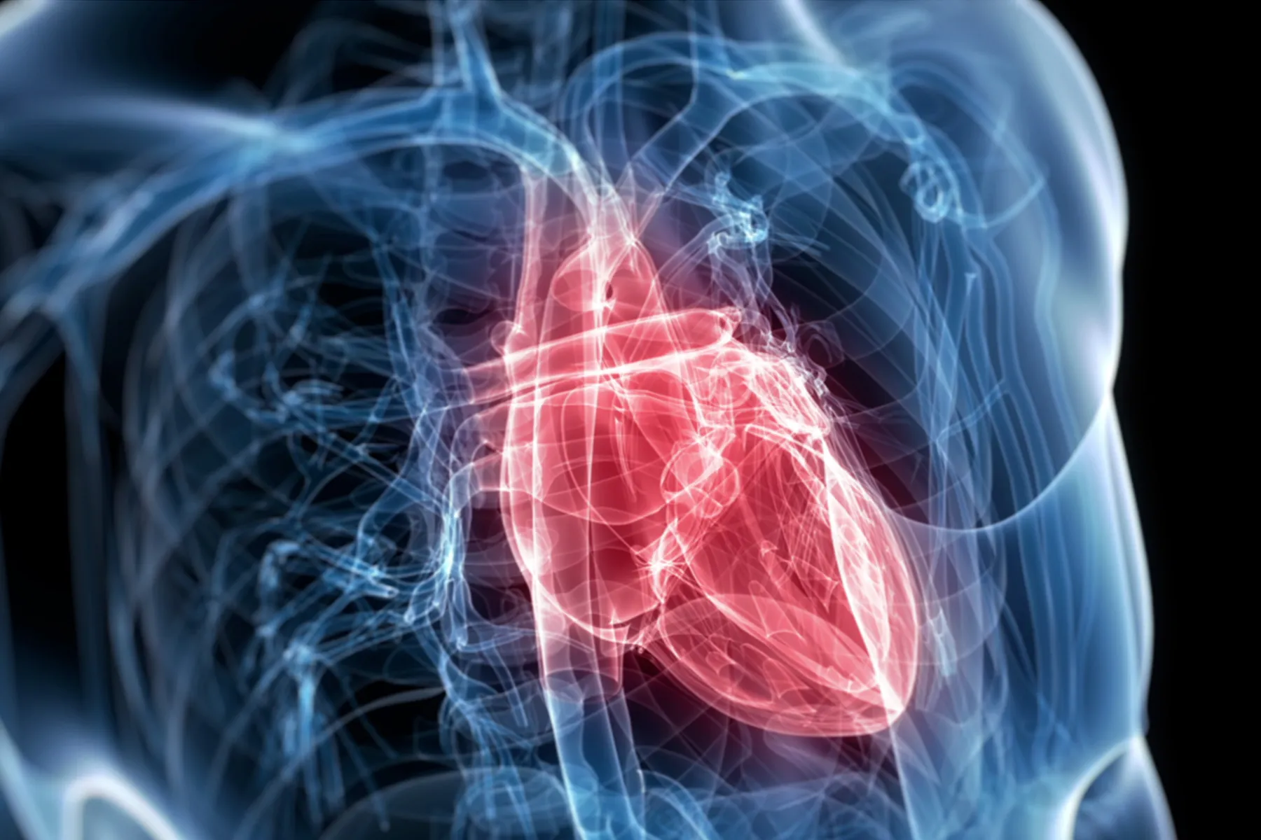 When Iron Deficiency Goes Untreated