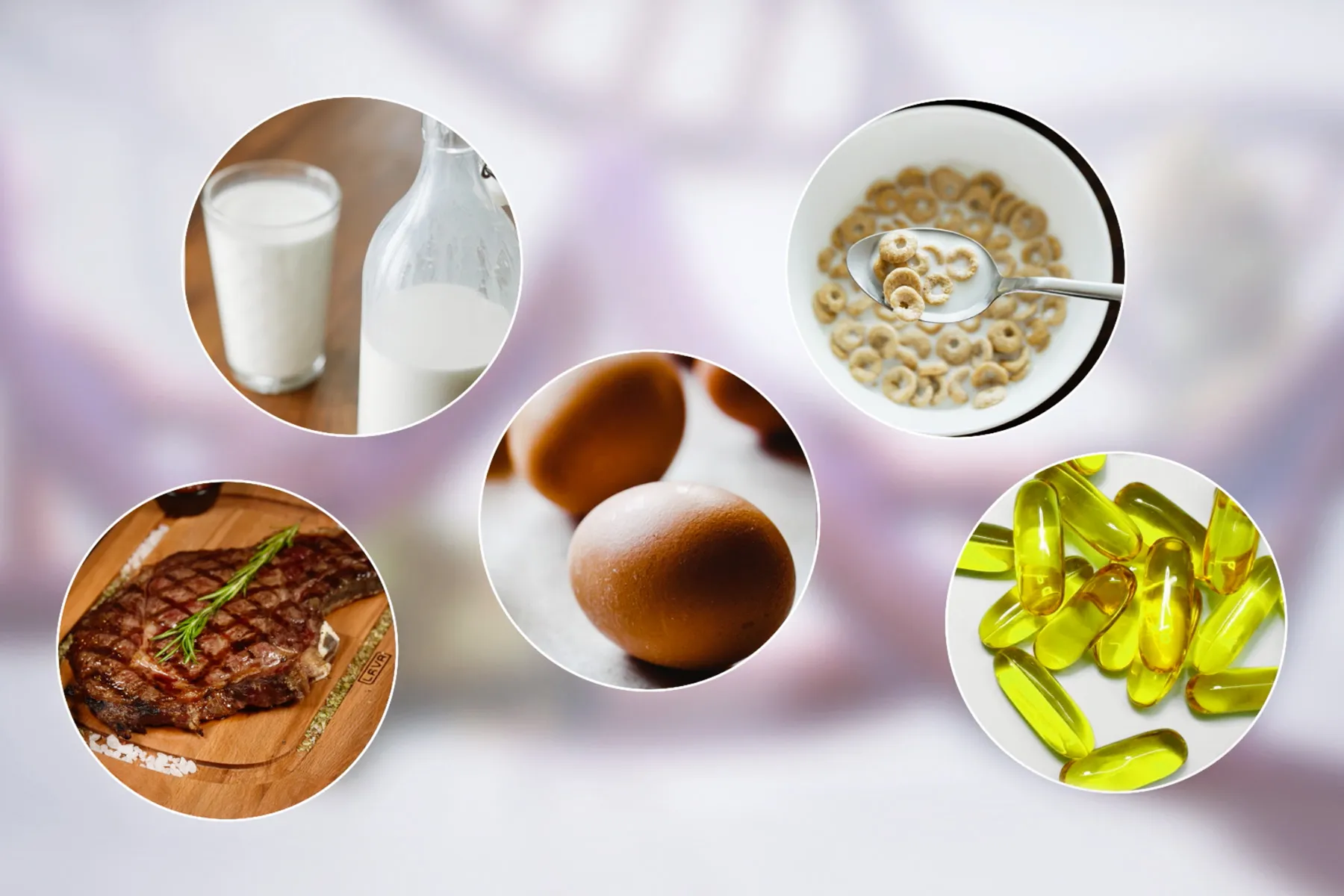 Inside Look at B12 and Your Body